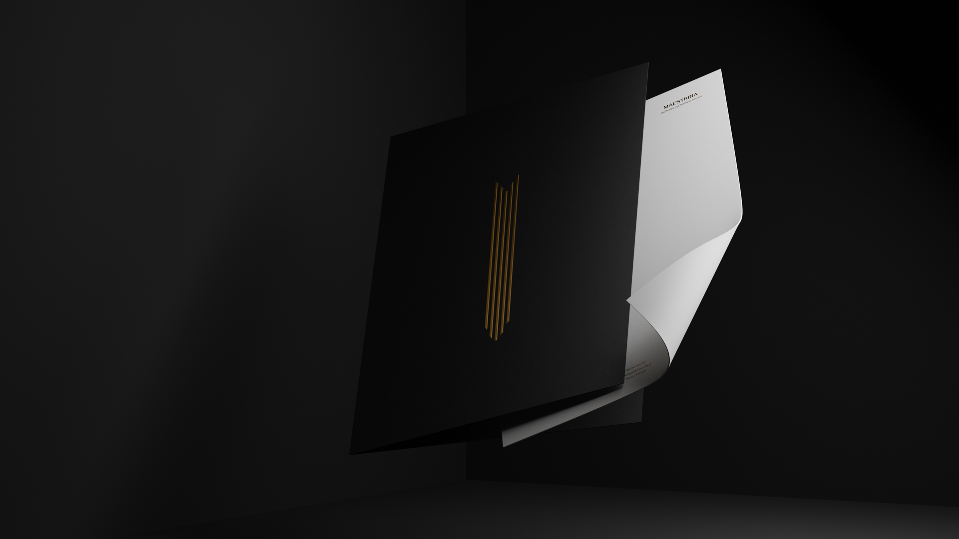 DhyogouveiaDesign - Projeto - Maestrina (4)